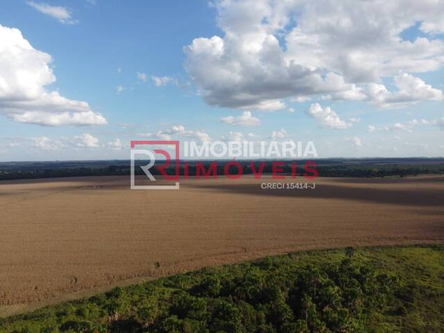 #2001 - Fazenda para Venda em Alta Floresta - MT - 1