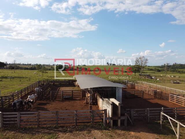 #2001 - Fazenda para Venda em Alta Floresta - MT - 3